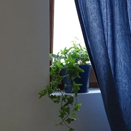 Blue Apartment Βελιγράδι Εξωτερικό φωτογραφία