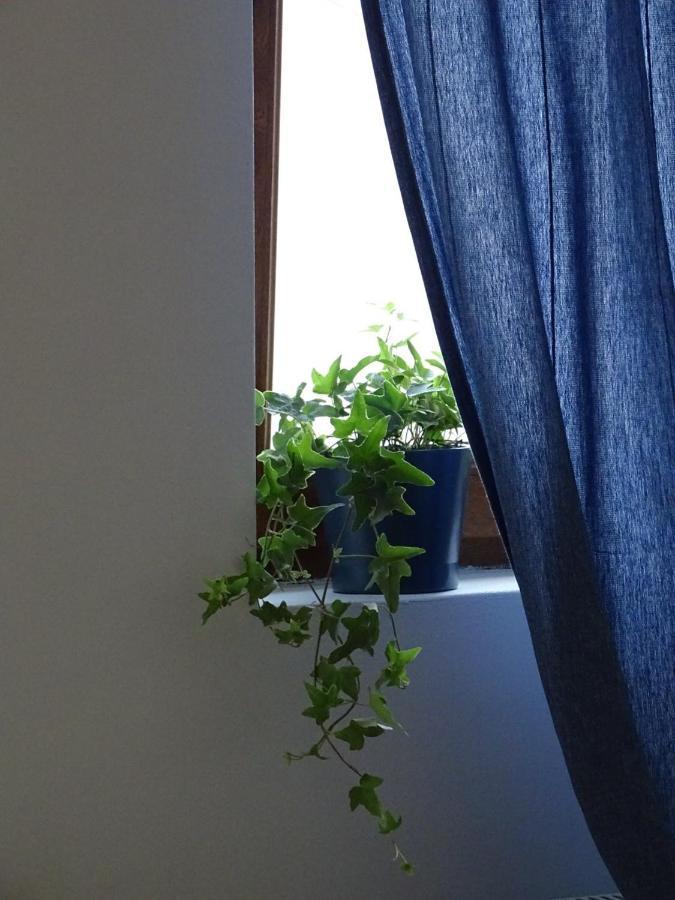 Blue Белград